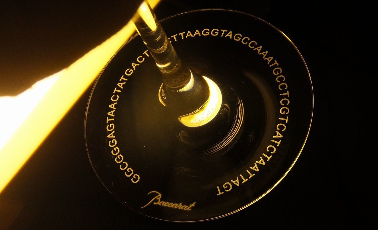 バカラの『デギュスタシオン ボルドー ワイングラス』の底面に名入れ彫刻を施した教授の退職祝い記念品の制作実績。ワインの芳醇な香りを引き出すために設計されたグラスの底面中央に、退職される教授が長年研究してきた蝶の種類を示すアルファベットの暗号（学名略称や特殊な識別コード）が上品な英字フォントで精巧に刻印されている。格式高いワイングラスに、教授にしか分からないパーソナルな暗号を秘めたメッセージを刻むことで、知的な心遣いと最高の敬意を伝える極めて特別で、唯一無二の記念ギフトとして視覚的に表現している。