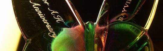 名入れバカラ ラッキーバタフライ イリゼクリア｜新たな門出を彩る虹色