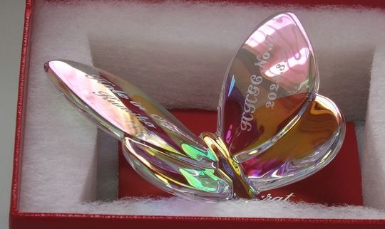 バカラ Baccarat ラッキーバタフライ イリゼクリア 名入れ彫刻代